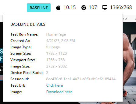 VisualTest Image Metadata